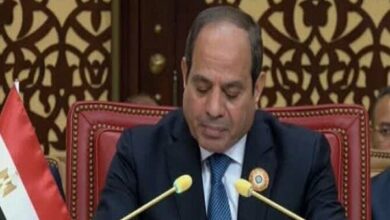 Al-Sisi sounded the alarm about the widespread war in the region