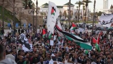 Anti-Zionist demonstrations in 48 cities in the Maghreb