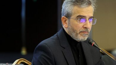 Examining the release of Iran’s blocked money in Bagheri’s meeting with Elzayani