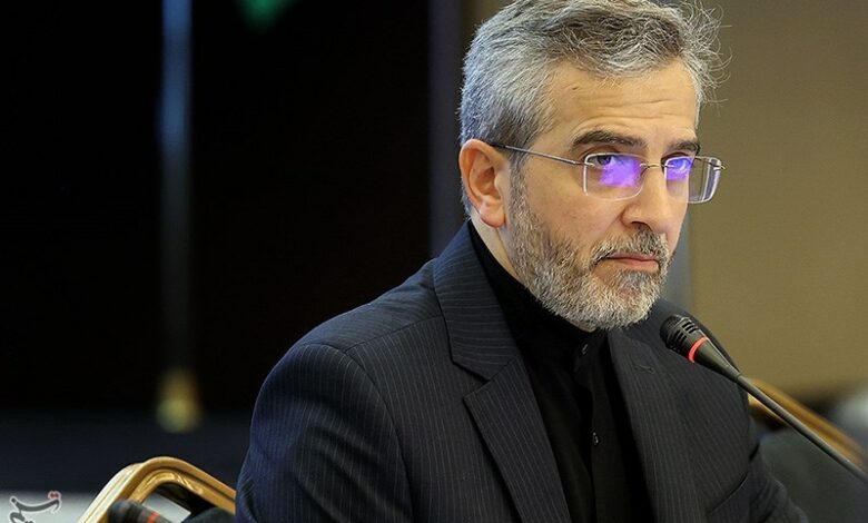 Examining the release of Iran’s blocked money in Bagheri’s meeting with Elzayani