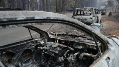 Forest fire in New Mexico with 2 victims/8000 people evacuated