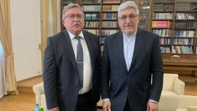 Meeting of representatives of Tehran and Moscow in international organizations in Vienna