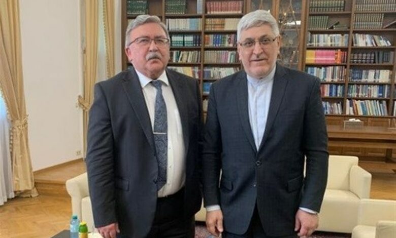 Meeting of representatives of Tehran and Moscow in international organizations in Vienna