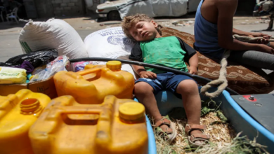 Palestinians in the north of Gaza eat leaves from trees due to hunger