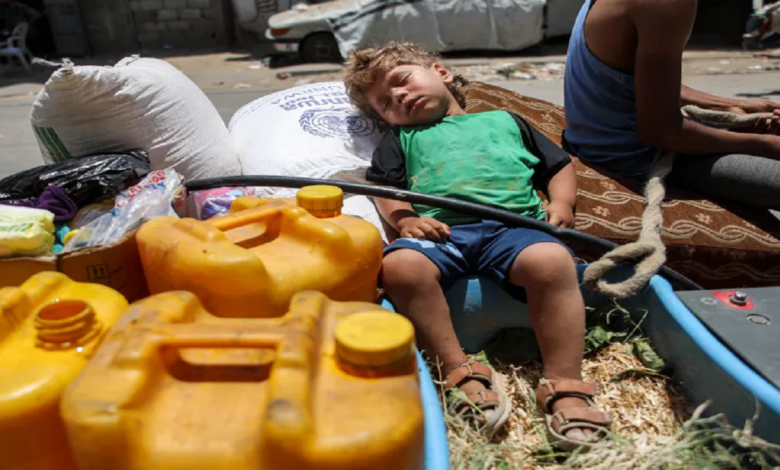 Palestinians in the north of Gaza eat leaves from trees due to hunger