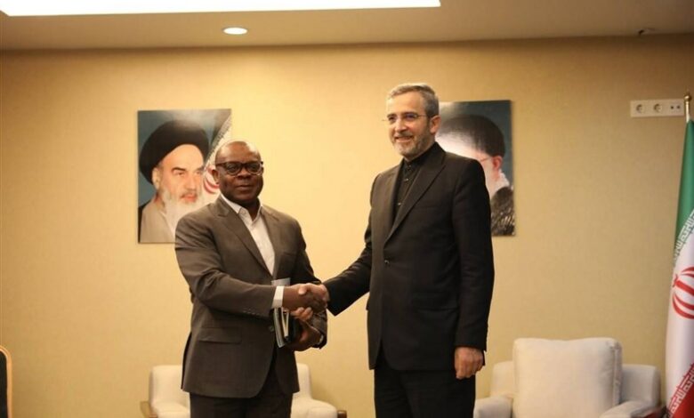 Secretary General’s meeting with Ali Bagheri on the 8th