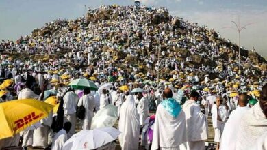 Statistics of pilgrims who died due to the extreme heat of Saudi Arabia