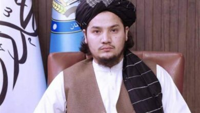 Taliban: Dealing with narcotics requires joint cooperation of countries