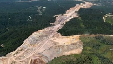 The black sign of the destruction of forests and agricultural lands in Türkiye