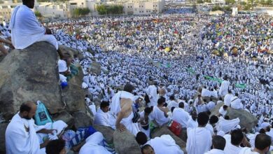 The death of 323 Egyptian pilgrims during the Hajj ceremony