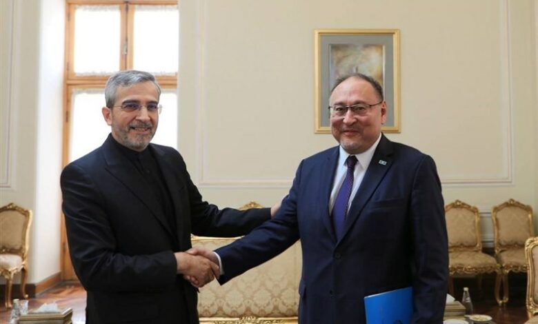 The meeting of Deputy Foreign Minister of Kazakhstan with Ali Bagheri