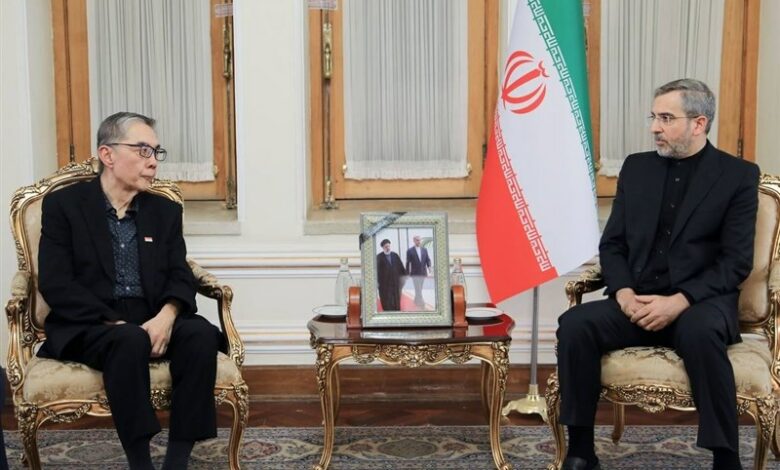 The meeting of the envoy of the foreign minister of Singapore with Ali Bagheri