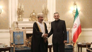 The meeting of the special representative of the Sultanate of Oman with Ali Bagheri