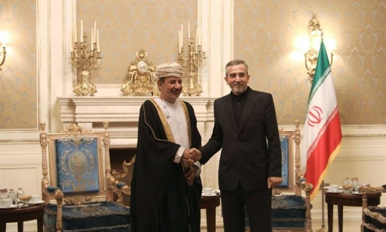The meeting of the special representative of the Sultanate of Oman with Ali Bagheri