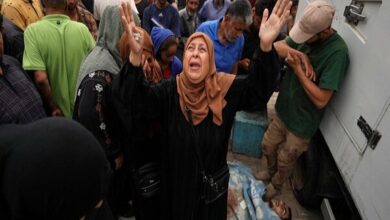 The number of Gaza martyrs increased to 37,598