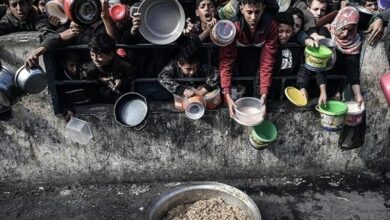 The people of Gaza have turned to eating tree leaves