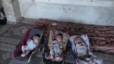 The plight of Palestinian triplets in northern Gaza due to hunger