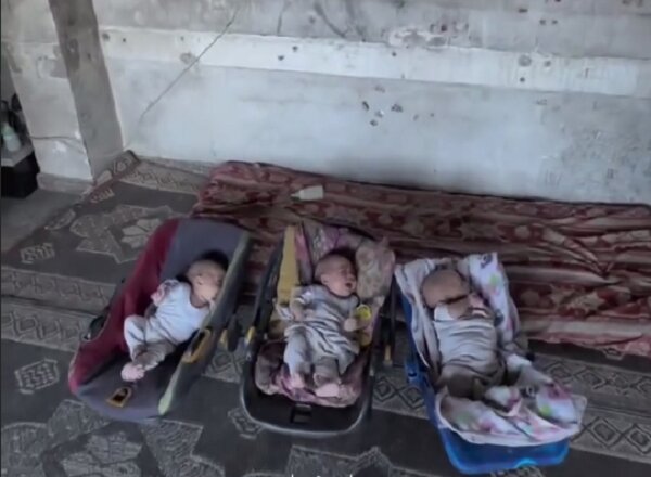 The plight of Palestinian triplets in northern Gaza due to hunger