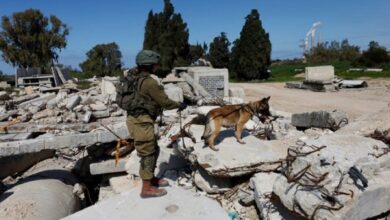 The United Nations criticized the attack of Israeli army dogs on Palestinian prisoners