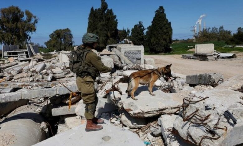 The United Nations criticized the attack of Israeli army dogs on Palestinian prisoners