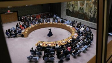 What happened at the meeting of the Security Council regarding the JCPOA?