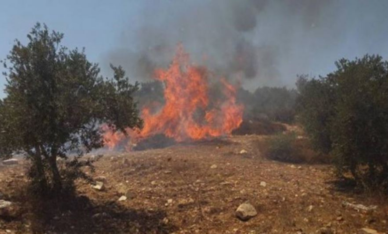 Zionist settlers set fire to olive fields in the West Bank