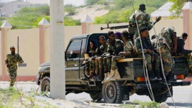50 al-Shabaab terrorists were killed