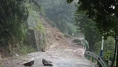 A mountain slide caused by rain killed 11 people in southeast China