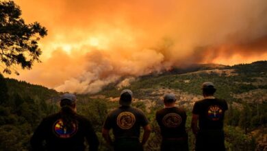 America’s biggest fire, more than 141 thousand hectares of forest burned + video