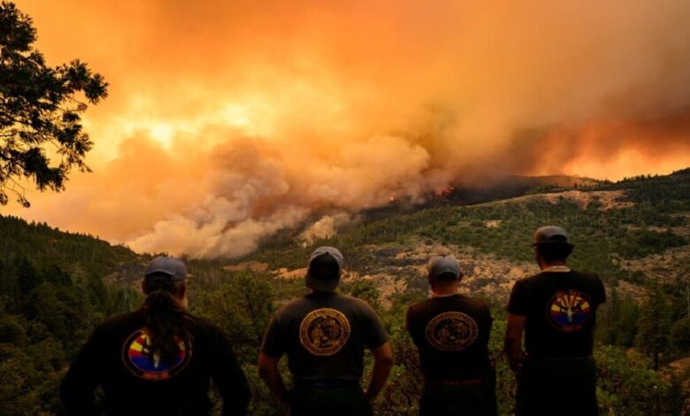 America’s biggest fire, more than 141 thousand hectares of forest burned + video