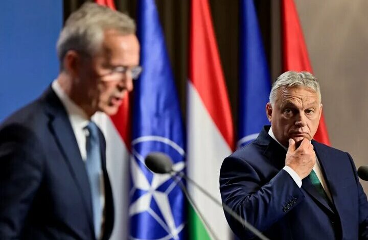 An article written by Orban about NATO; The rooster’s tail is sticking out