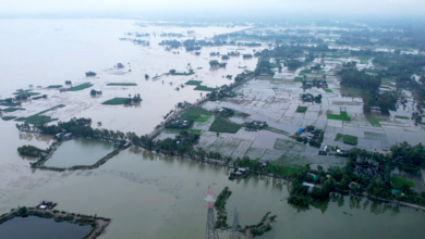 Bangladesh floods claimed 8 lives