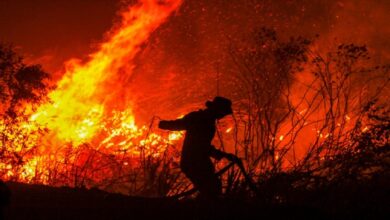 Declaring a state of emergency in 2 regions of Russia due to forest fires