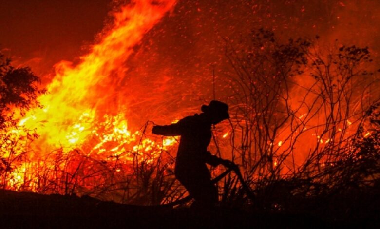 Declaring a state of emergency in 2 regions of Russia due to forest fires