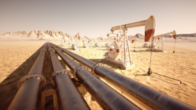 Egypt plans to drill more than 580 oil and gas wells by 2030