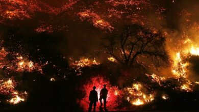 Fire in the Los Angeles National Forest/Evacuation order issued + video