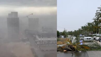 Heavy storm damage to the city of Adana, Türkiye + video