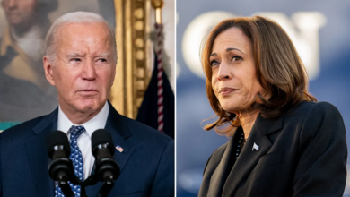 Increase in donations to the Democratic Party after Biden’s resignation