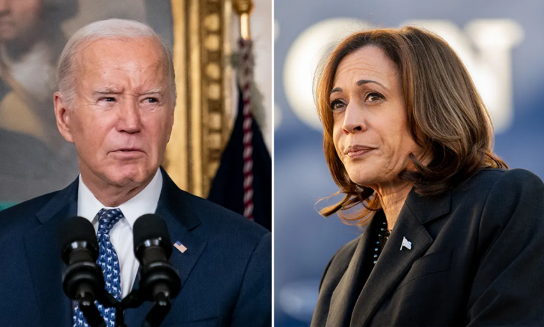 Increase in donations to the Democratic Party after Biden’s resignation