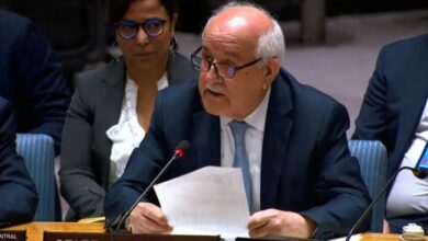 Riyad Mansour: The Security Council must stop the killers of tens of thousands of Palestinians