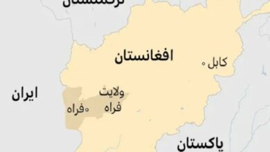 Taliban: Security is ensured on the border of Afghanistan and Iran