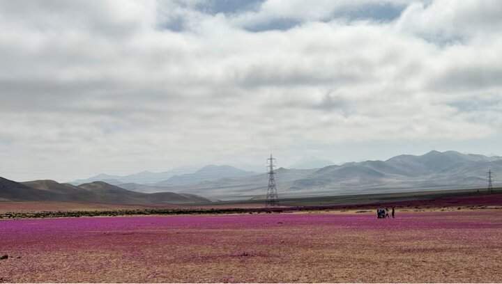 The driest desert in the world, Gol Dad + video and photos