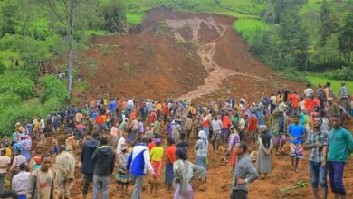 The number of victims of the landslide in Ethiopia has increased to 55