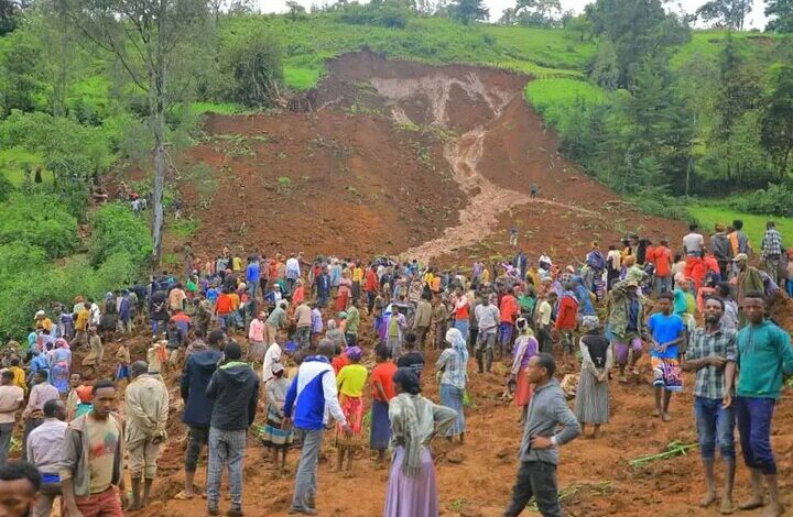 The number of victims of the landslide in Ethiopia has increased to 55