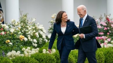 The relationship between “Harris” and “Biden’s” secret adviser