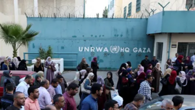 The war in Gaza has claimed the lives of UN staff more than any other event