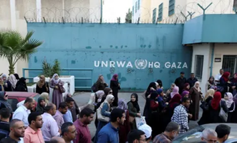 The war in Gaza has claimed the lives of UN staff more than any other event