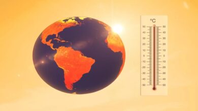 The World Meteorological Agency warns of a new record in global temperatures