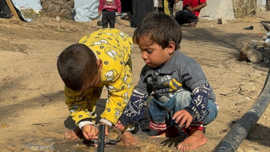 UNRWA: Children in Gaza spend hours looking for water and food