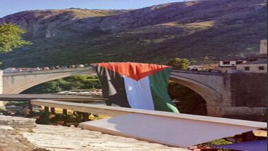 Waving of the Palestinian flag in Bosnia and Herzegovina + video